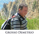 Grosso Demetrio