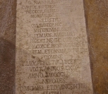 IMGP2528