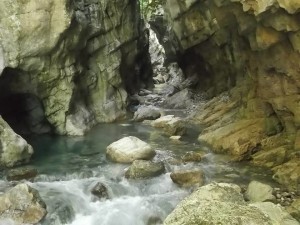 sammaro