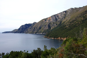 IMGP2782