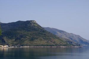 APPREZAMIL'ASINO.