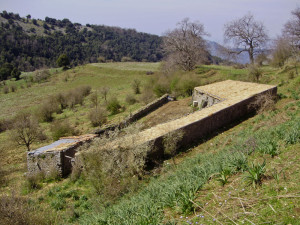 Iazzo