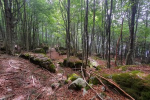 Foto News Monte Sacro 2024