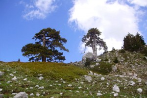 Foto News Pollino 2024