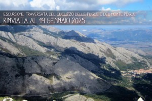 Foto News Cocuzzo 2025 - Rinviata